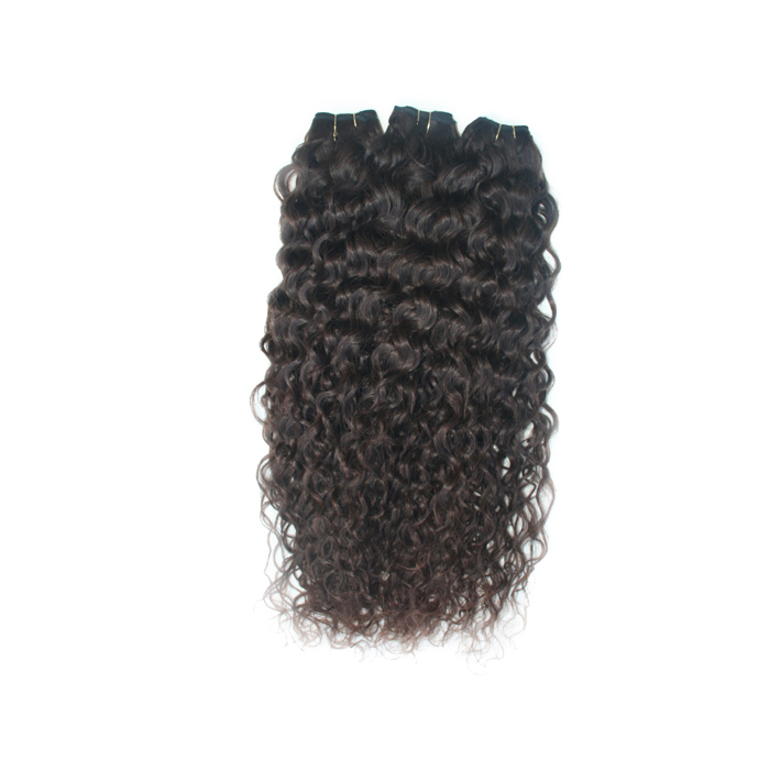 26 inch CURLY 4